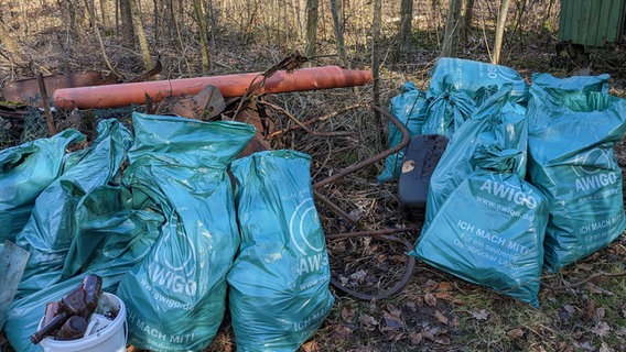 Blaue Müllsäcke liegen in einem Waldstück. © AWIGO Abfallwirtschaft Landkreis Osnabrück GmbH 