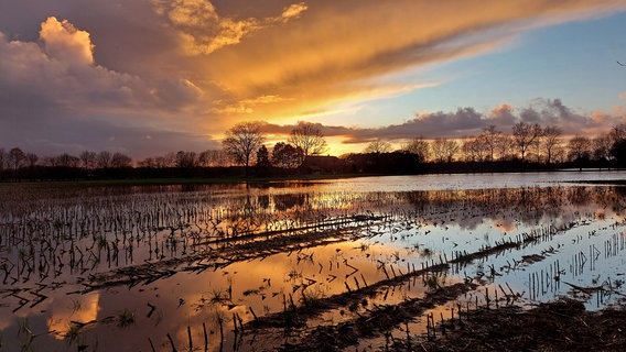 Ein farbenfroher Sonnenuntergang über nassen Feldern in der Nähe von Emlichheim (Landkreis Grafschaft Bentheim). © NDR Foto: Hilda Slaar