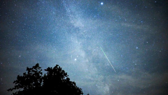 Sternschnuppen am Nachthimmel und zahlreiche Sterne. © TNN 