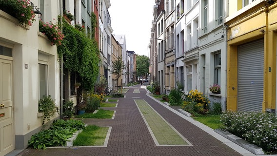 Eine eng bebaute Straße in Antwerpen. © Deutsche Bundesstiftung Umwelt (DBU) Foto: Ulf Jacob