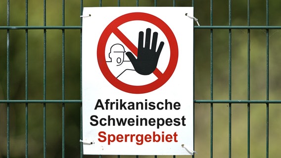Ein Schild weist auf die Afrikanische Schweinepest hin. © picture alliance Foto: Torsten Sukrow