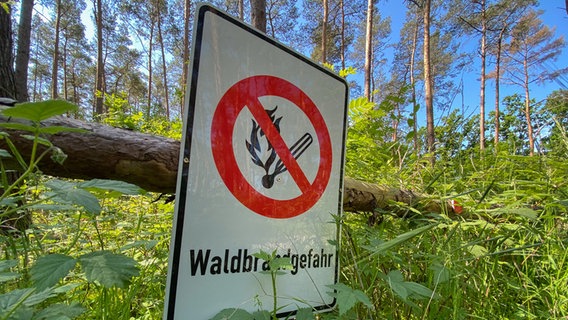 Ein Schild weist auf die Gefahr von einem Wald·brand hin. © Picture Alliance Foto: Julian Stratenschulte