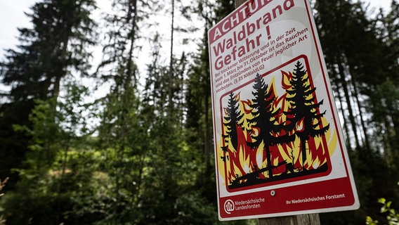 Ein Warnschild weist auf Waldbrandgefahr im Harz hin. © picture alliance/dpa | Swen Pförtner Foto: Swen Pförtner
