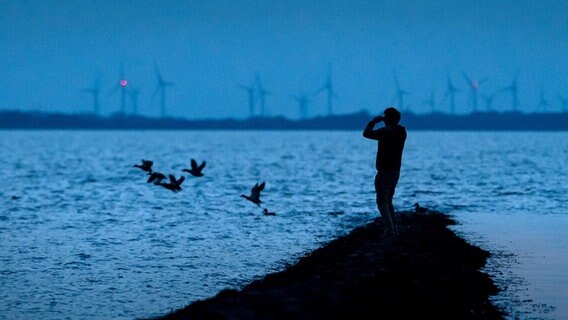 Ein Mann beobachtet Zugvögel. © Sina Schuldt/dpa Foto: Sina Schuldt/dpa