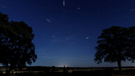 Sternschnuppen sind am Nachthimmel zu sehen. © NDR Foto: Sabine Richter