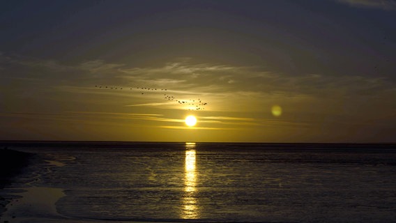 Sonnenuntergang über dem Wattenmeer bei Norddeich. © NDR Foto: Gerhard Meyer