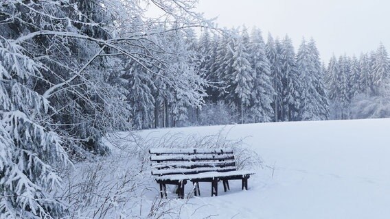 Eine Bank steht in einer verschneiten Landschaft an einem Waldrand. © NDR Foto: Rolf Göbgen