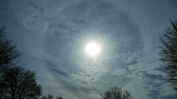 Ein Lichtschimmer ist am Himmel um die Sonne herum zu sehen. © NDR Foto: Annette Mokross