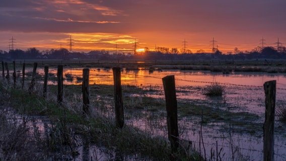 Bunter Sonnenaufgang im Ochsenmoor. © NDR Foto: Ralf Feldmann