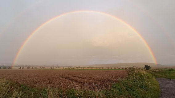 Ein Regenbogen ist über einem Feld zu sehen. © NDR Foto: Susanne Wedde