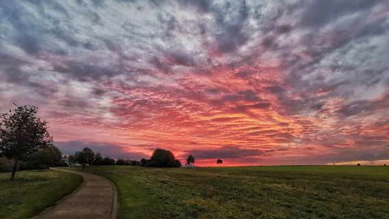 Ein Sonnenaufgang ist am Himmel in der Feldmark bei Wolfenbüttel zu sehen. © NDR Foto: Wolfgang Junge