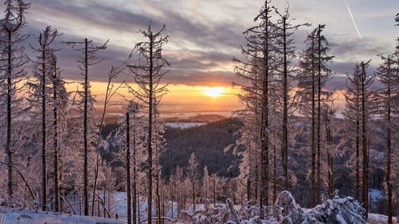 Blick vom verschneiten Ravensberg in Bad Sachsa auf einen Sonnenuntergang. © NDR Foto: Sker Freist