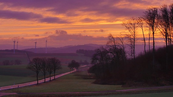 Morgenrot ist am Himmel bei Oldenrode im Landkreis Northeim zu sehen. © NDR Foto: Falk Schwarz