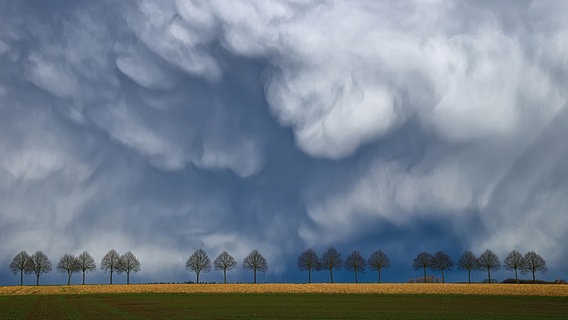 Wolken sind am Himmel über Syke zu sehen. © NDR Foto: Wolfram Guder