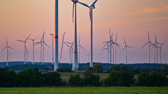 Auf dem Foto sind mehrere Windkraftanlagen in einer Landschaft mit Bäumen und einem Hügel zu sehen. © dpa/Picture Alliance Foto: Patrick Pleul