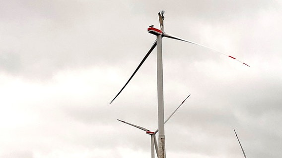 Eine Windkraftanlage mit abgerissenem Rotor. © NDR Foto: Christina Gerlach