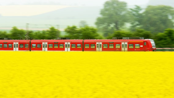 Eine S-Bahn fährt auf Schienen zwischen Rapsfeldern und Wiesen. © picture alliance Foto: Julian Stratenschulte
