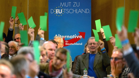 Parteimitglieder der AfD halten beim Landesparteitag in Henstedt-Ulzburg am 16. April 2016 grüne Stimmzettel hoch. © dpa - Bildfunk Foto: Axel Heimken
