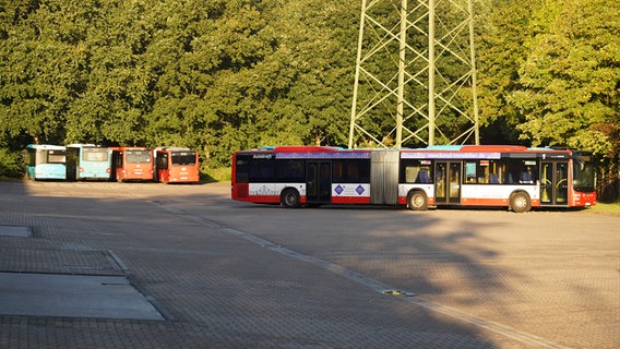 Mehrere abgestellte Linienbusse, die wegen eines Warnstreiks nicht fahren. © Daniel Friederichs Foto: Daniel Friederichs
