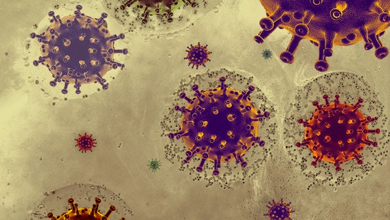 Eine Grafik zeigt Viren in einem Organismus. © Zoonar Foto:  Turgay Koca