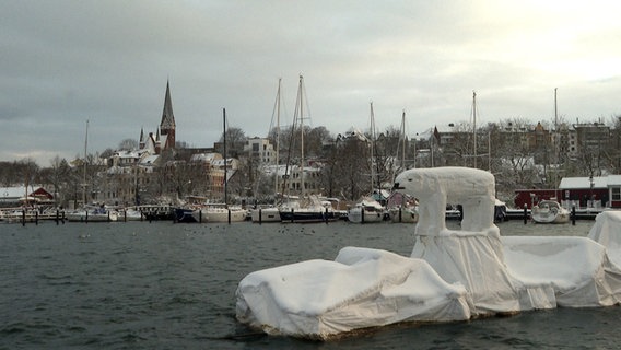 Eine Kunst-Installation im Flensburger Hafen zeigt einen Eisbären auf einer Eisscholle im Wasser. © NDR 