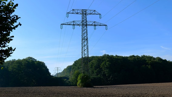 Der Mast einer Überlandleitung steht auf einem Feld vor einem Waldstück. © NDR Foto: Magarita Ilieva