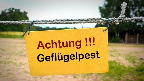 Schild am Eingang eines Bauernhofes in Deutschland mit der Aufschrift Achtung Geflügelpest. © picture alliance / Zoonar Foto: Heiko Kueverling