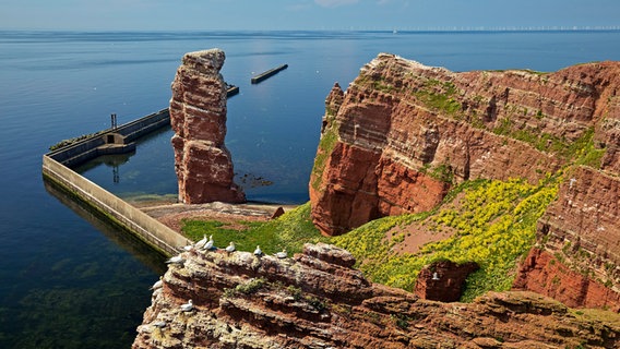 Helgoland mit der "Langen Anna" © NDR Foto: Jochen Lambernd