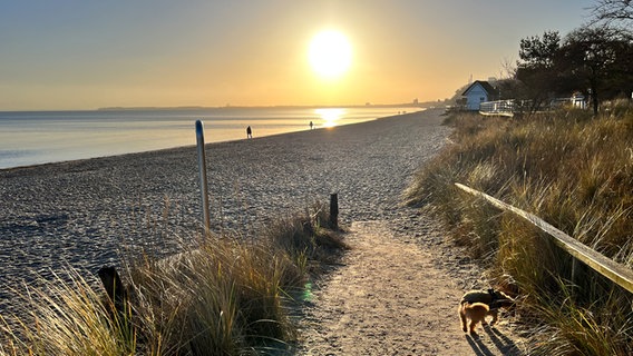 Sonnenschein am Strand in Scharbeutz © Anne Möllerherm Foto: Anne Möllerherm