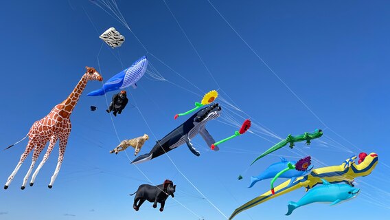 Fliegende Tierdrachen auf dem Drachenfest in Laboe. © Nelly Echt Foto: Nelly Echt