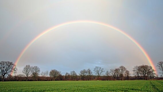 Ein Regenbogen erstrahlt über den Feldern in Klein Wesenberg. © Andrea Portratz Foto: Andrea Portratz