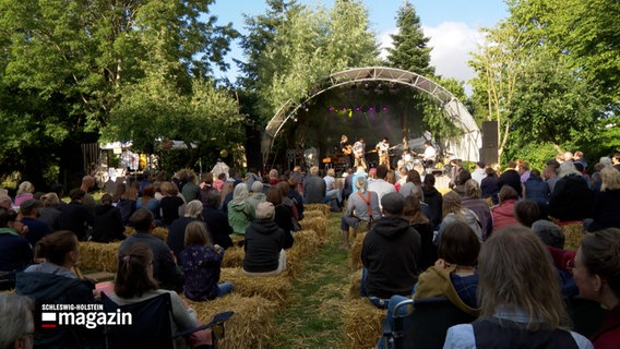 Eine Band spielt auf dem Dorffestival in Honigsee. © NDR 