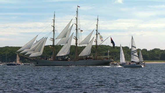 Segelschiffe fahren auf der Kieler Förde bei der traditionellen Windjammerparade zur Kieler Woche. © NDR 