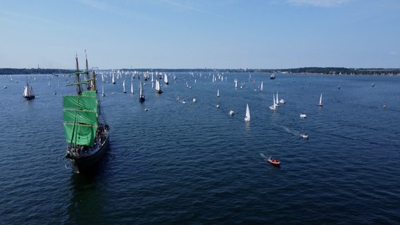 Zahlreiche Segelschiffe, Boote und Traditionssegler sind auf der Kieler Förde bei der Windjammerparade 2023 unterwegs. © NDR 
