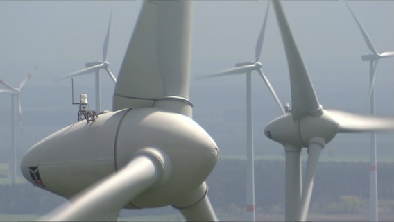 Windkrafträder. © NDR 