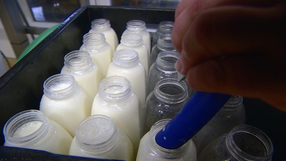 Milch wird in mehrere Flaschen gefüllt. © NDR Foto: Screenshot Schleswig-Holstein Magazin