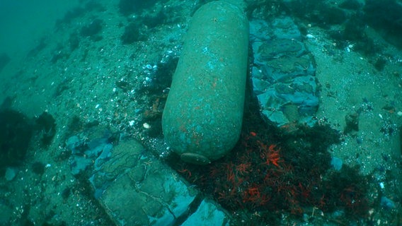 Ein Torpedo liegt auf dem Meeresgrund der Ostsee. © NDR Foto: Screenshot