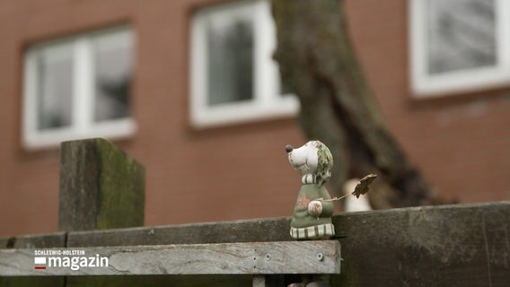 Eine kleine Figur steht auf einem Zaun. © NDR 