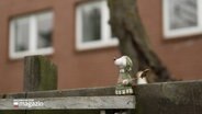 Eine kleine Figur steht auf einem Zaun. © NDR 