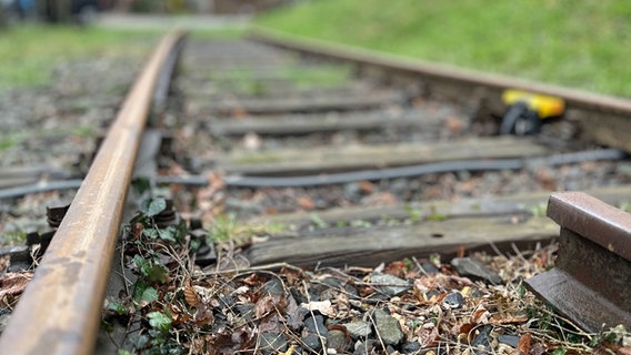 Alte, nicht genutzte, Gleise © NDR Foto: Hauke Bülow