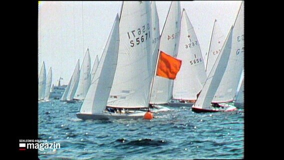 Segelschiffe fahren auf der Kieler Förde während der Olympische Segelwettbewerbe. © NDR 