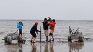 Ein Team von Wissenschaftlern arbeitet an einem Forschungsprojekt im Nordfriesischen Wattenmeer. © uni-kiel.de Foto: Ruth Blankenfeldt