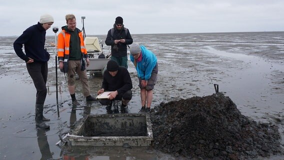 Ein Team von Wissenschaftlern arbeitet an einem Forschungsprojekt im Nordfriesischen Wattenmeer. Ein Team von Wissenschaftlern arbeitet an einem Forschungsprojekt im Nordfriesischen Wattenmeer. © uni-kiel.de Foto: Justus Lemm