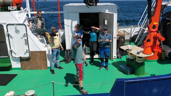 Philipp und Jonas treffen ein Forscherteam an Bord eines Schiffs © NDR Foto: Screenshots