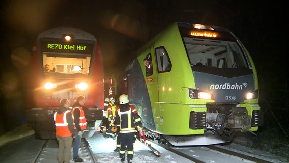 Zwei Regionalzüge stehen im Schneetreiben nebeneinander. © Westküsten-News 