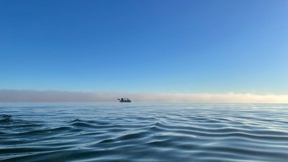 Aufnahme auf der Meeresoberfläche der Ostsee. Im Horizont ist ein Schiff zu erkennen. © Jens Stender Foto: Jens Stender