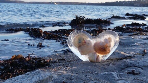 Eisherz mit eingeschlossenen Muscheln am Strand © Reiner Wagenführ Foto: Reiner Wagenführ