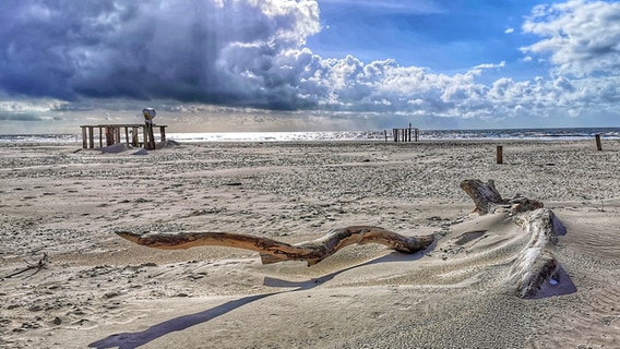 Ein großes Stück Holz lieg auf dem Sand am Strand. © Petra Lassen Foto: Petra Lassen