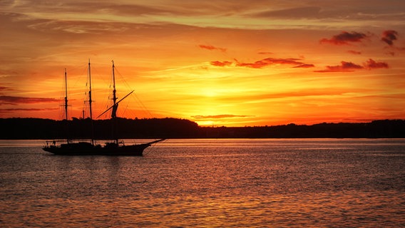 Kieler Förde bei Sonnenuntergang. Ein Segelschiff fährt gerade wieder ein. © Uwe Reimer Foto: Uwe Reimer