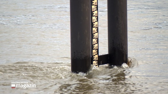 Ein Wasserstandsanzeiger steht in der Elbe, der Pegelstand liegt bei 7,90 Meter © NDR Foto: NDR Screenshot